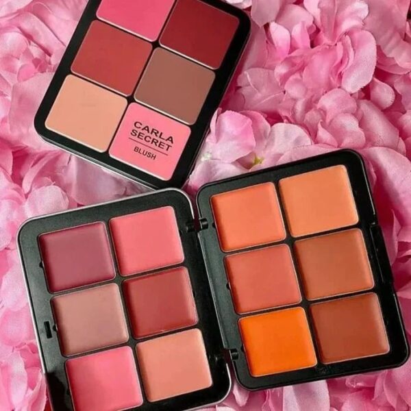 Carla Secret Blush Palette with Fast Shipping form Beautys Vault