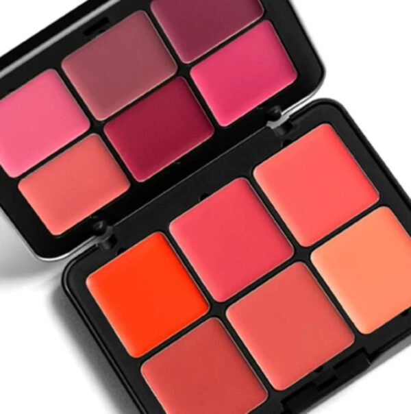 Carla Secret Blush Palette with Fast Shipping form Beautys Vault - Image 3